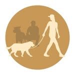 426253195_760879468884437_6049647735743750892_n