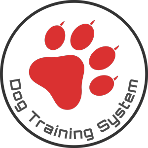 Dog Training System - Szkolenie psów Dog Training System - Szkolenie psów