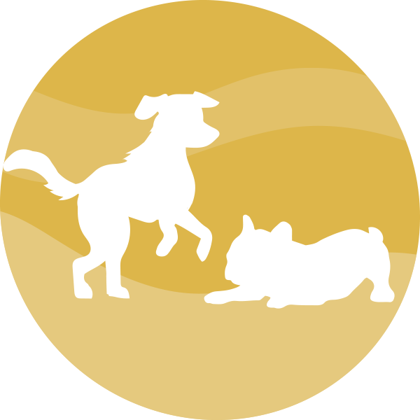 Szczeniaczkowo w Dog Training System Szczeniaczkowo w Dog Training System