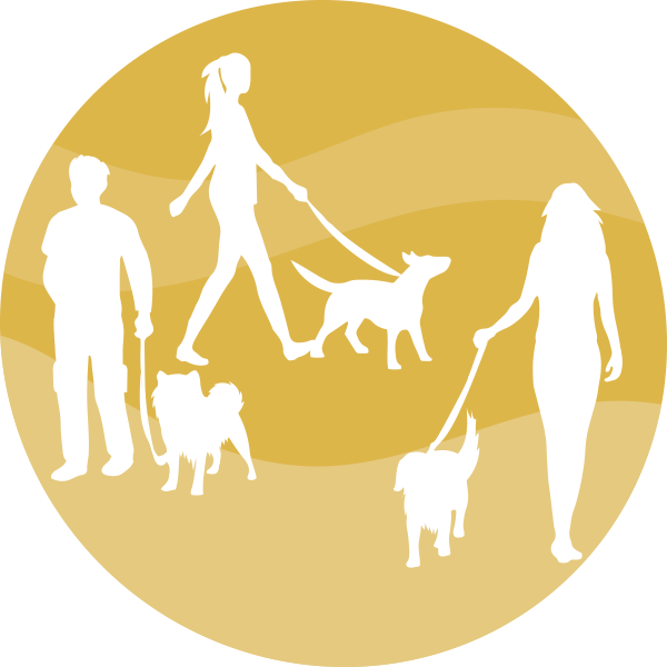 Zajęcia grupowe z Dog Training System Zajęcia grupowe z Dog Training System