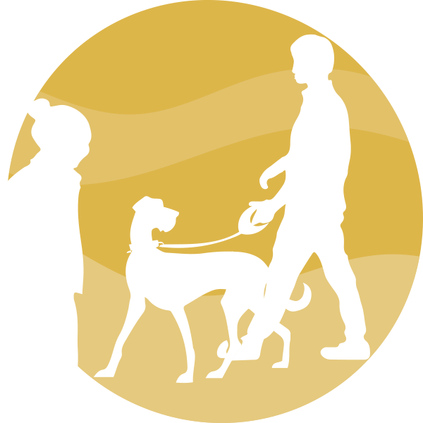 Zajęcia indywidualne z Dog Training System Zajęcia indywidualne z Dog Training System